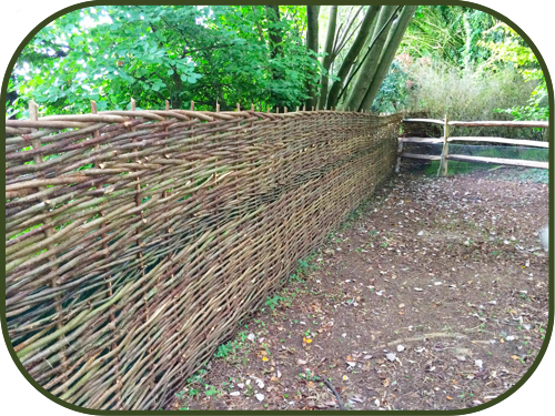 Country Hurdles and Hedgelaying