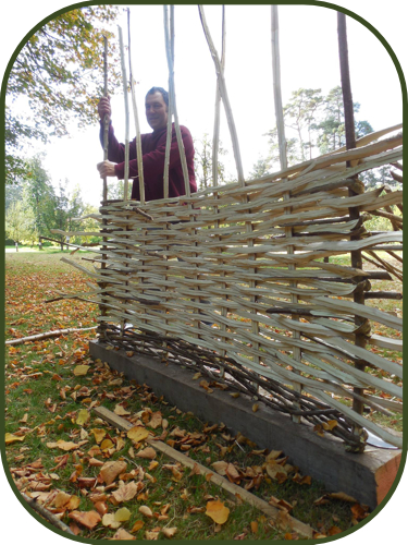 Country Hurdles and Hedgelaying