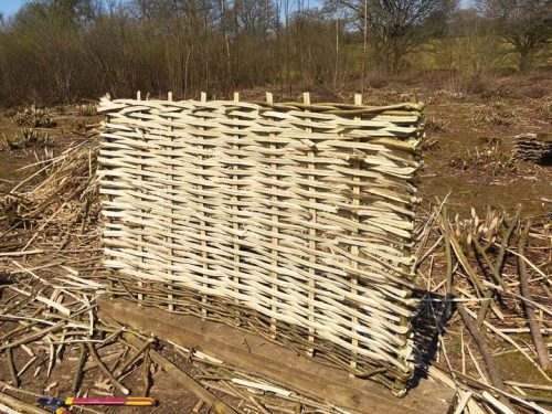 Country Hurdles and Hedgelaying