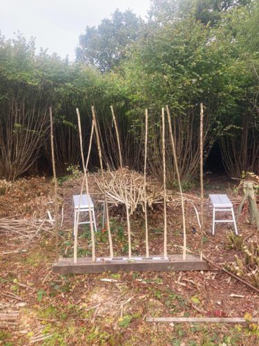 Country Hurdles and Hedgelaying