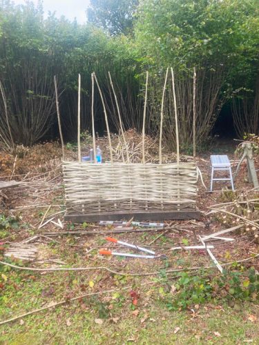 Country Hurdles and Hedgelaying